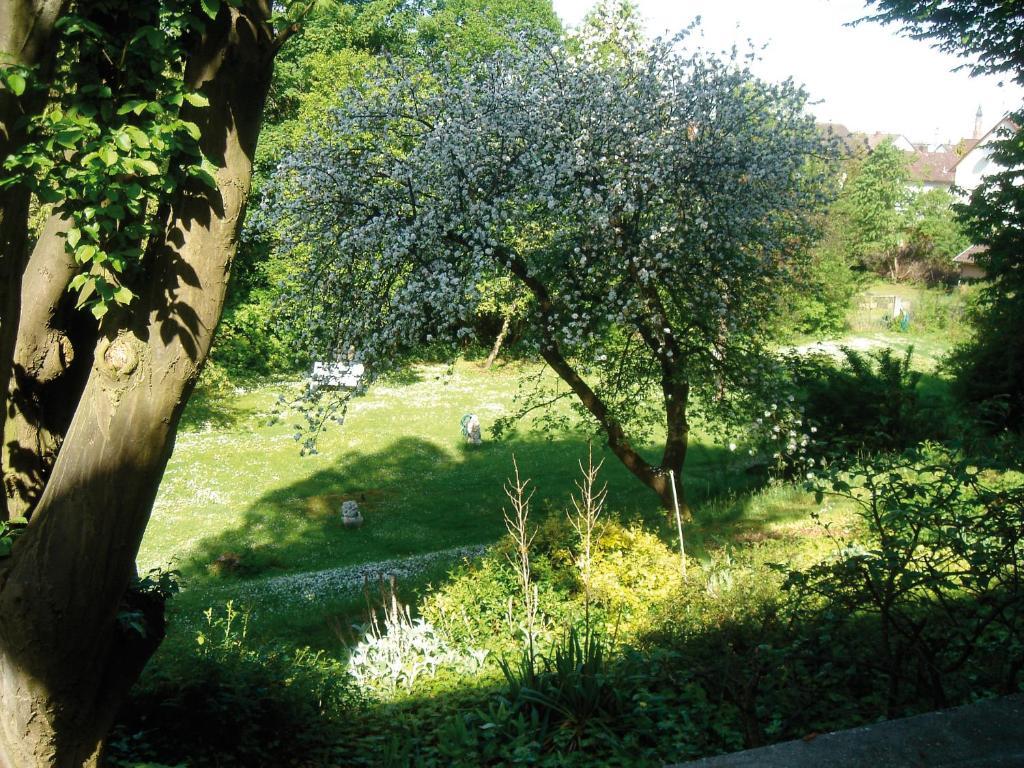 Hotel B&B Bredl In Der Villa Ballestrem Щраубинг Стая снимка